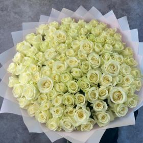 Букет 101 белая роза Аваланш 60 см