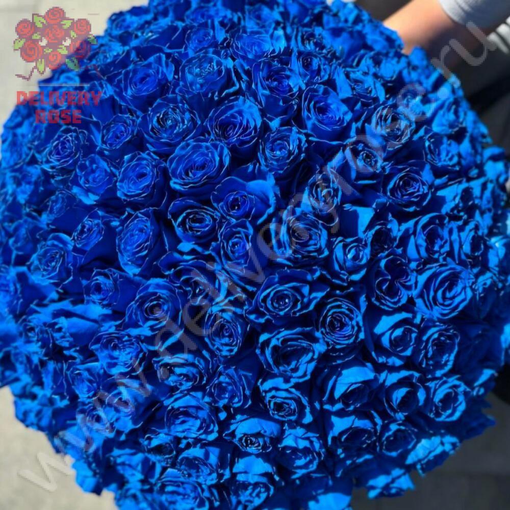 125 синих роз Эквадор