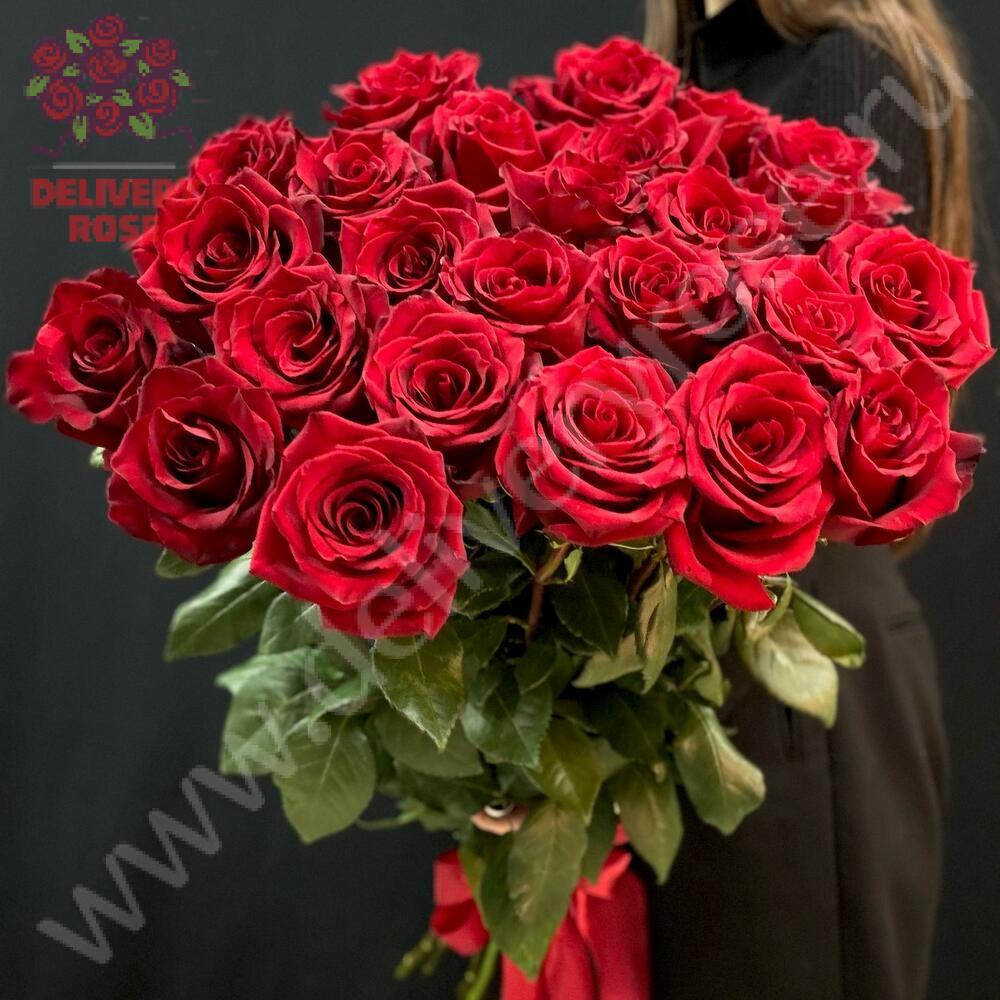 Розы 160 см по штучно ( любое количество)