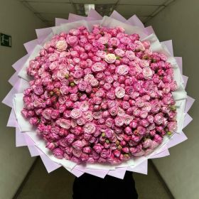 Пионовидная кустовая роза Lady Bombastic