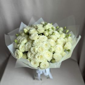 Пионовидная кустовая роза Miss Bombastic