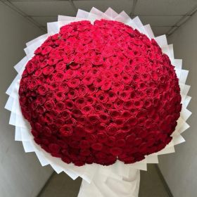 301 длинная роза 110 см