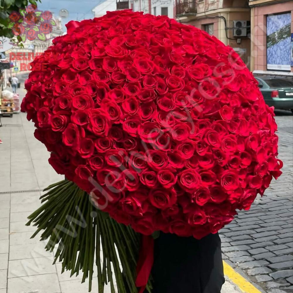 101 гигантская красная роза 170 см